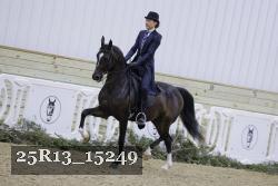 25R13_15249 thumbnail