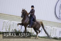 25R13_15251 thumbnail