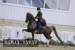 25R13_15252 thumbnail