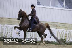 25R13_15253 thumbnail