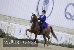 25R13_15254 thumbnail