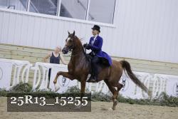 25R13_15255 thumbnail