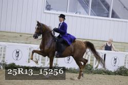 25R13_15256 thumbnail