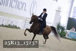 25R13_15257 thumbnail