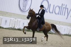25R13_15258 thumbnail