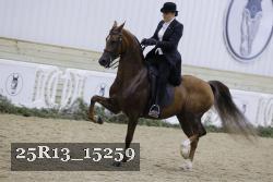 25R13_15259 thumbnail