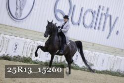 25R13_15260 thumbnail