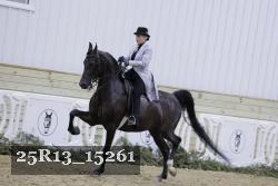 25R13_15261 thumbnail
