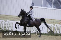 25R13_15262 thumbnail