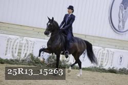 25R13_15263 thumbnail