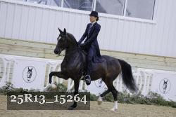 25R13_15264 thumbnail