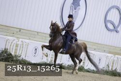 25R13_15265 thumbnail