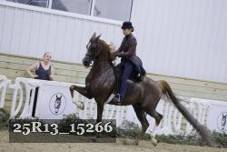 25R13_15266 thumbnail