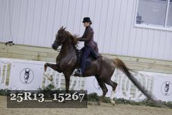 25R13_15267 thumbnail