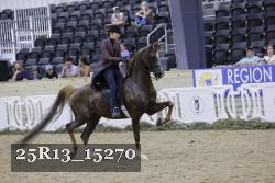 25R13_15270 thumbnail
