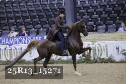 25R13_15271 thumbnail