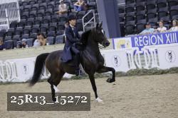25R13_15272 thumbnail