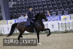 25R13_15273 thumbnail