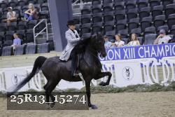 25R13_15274 thumbnail