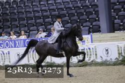 25R13_15275 thumbnail