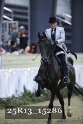 25R13_15286 thumbnail