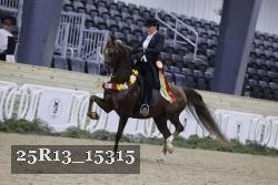 25R13_15315 thumbnail