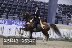 25R13_15317 thumbnail