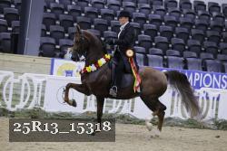 25R13_15318 thumbnail