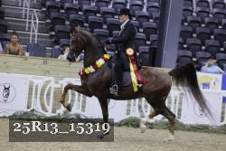 25R13_15319 thumbnail