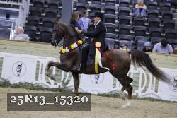 25R13_15320 thumbnail