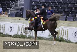 25R13_15321 thumbnail