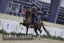 25R13_15322 thumbnail