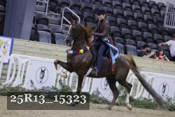 25R13_15323 thumbnail