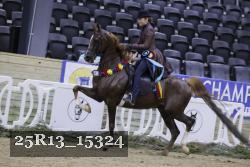 25R13_15324 thumbnail