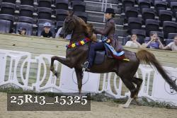 25R13_15325 thumbnail