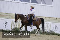 25R13_15331 thumbnail