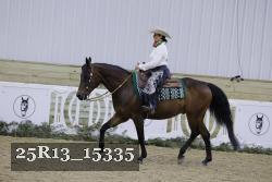 25R13_15335 thumbnail
