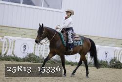 25R13_15336 thumbnail
