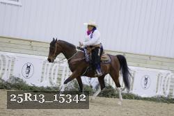 25R13_15342 thumbnail
