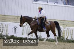 25R13_15343 thumbnail