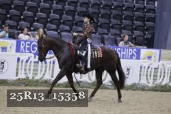 25R13_15358 thumbnail