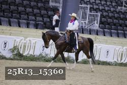 25R13_15360 thumbnail