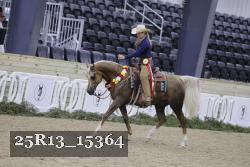 25R13_15364 thumbnail