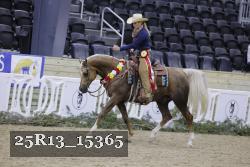25R13_15365 thumbnail