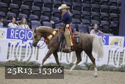 25R13_15366 thumbnail