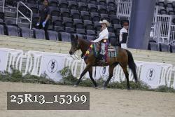 25R13_15369 thumbnail