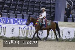 25R13_15370 thumbnail