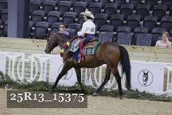 25R13_15375 thumbnail