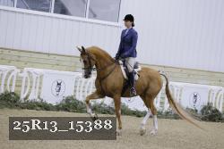 25R13_15388 thumbnail