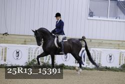 25R13_15391 thumbnail